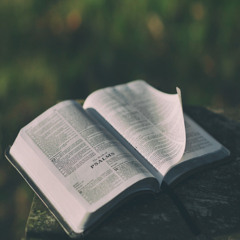 Abide In God's Word
