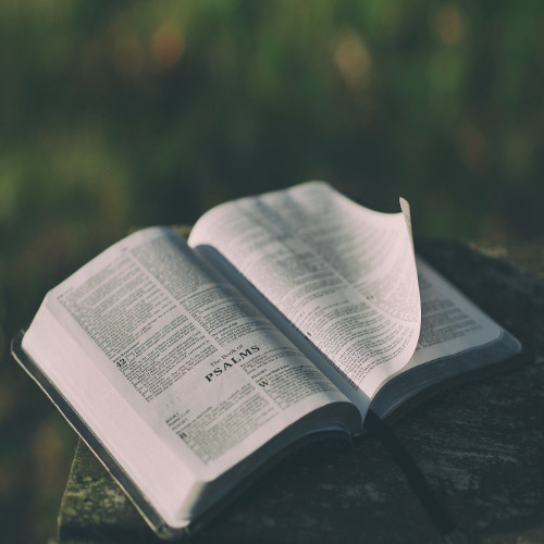 Abide In God's Word