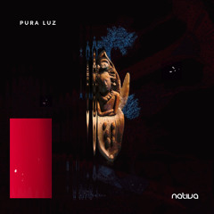 Cedro & Onza de Hydro - Pura Luz