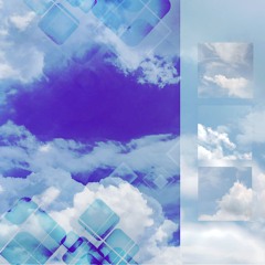 myosotis