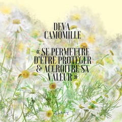 Se permettre d'être protéger & accroître sa valeur avec le deva de la Camomille By Audrey Jade