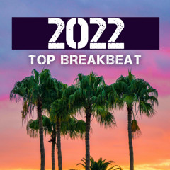TOP Breakbeat 2022