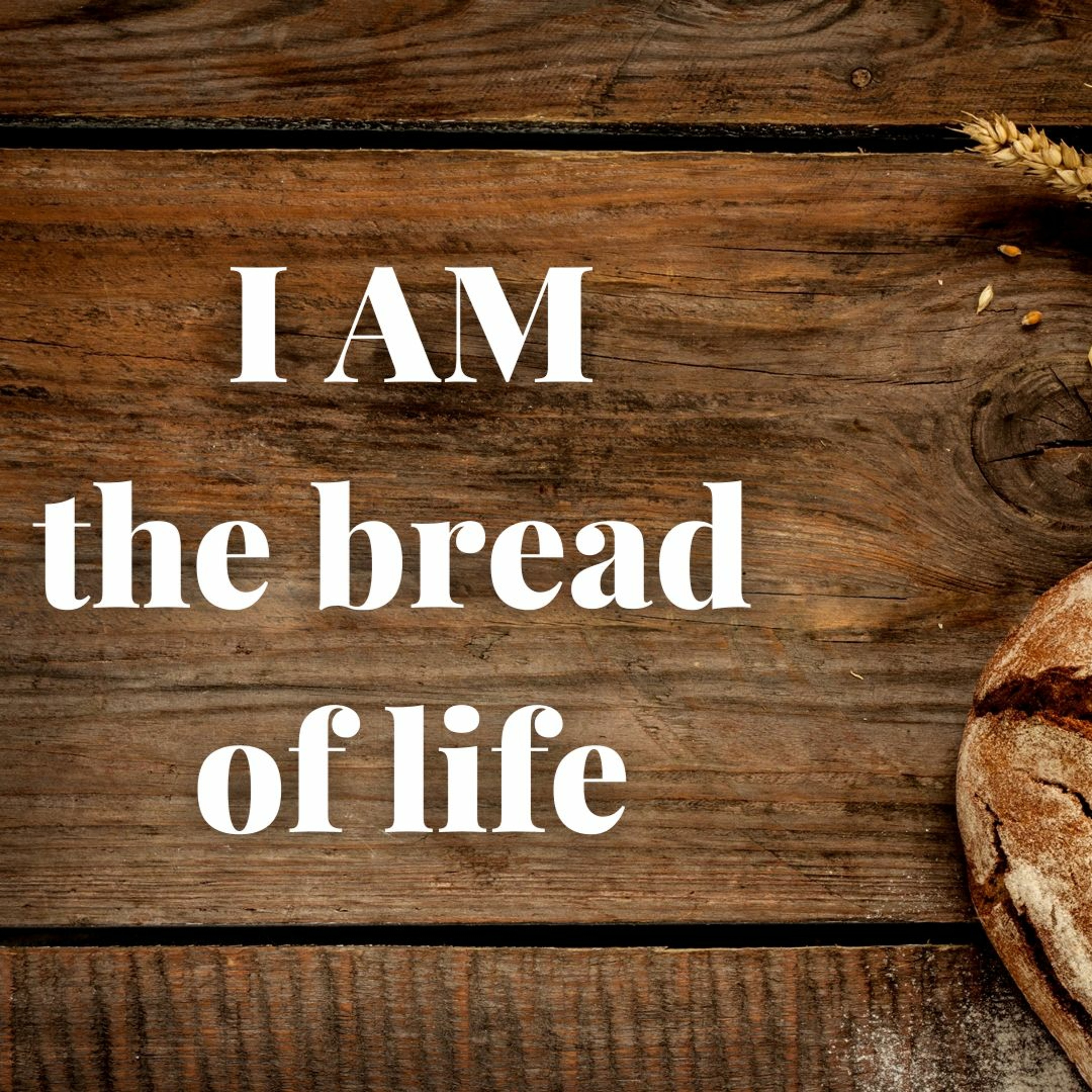 The Wonder of Bread