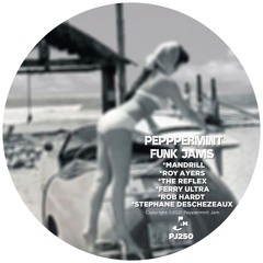 Ferry Ultra feat. Roy Ayers - Dangerous Vibes Mousse T's R&B Mix)