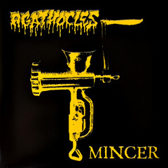 Mincer