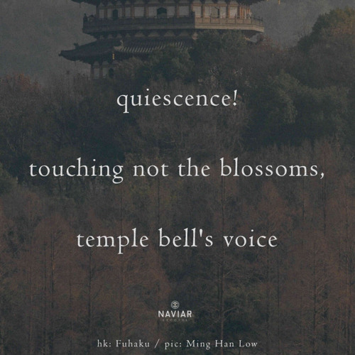 Quiescence (naviarhaiku580)