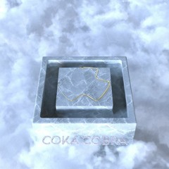 Confession Mix 021: Coka Cobra