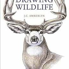READ EPUB KINDLE PDF EBOOK Drawing Wildlife by J.C. Amberlyn 📙