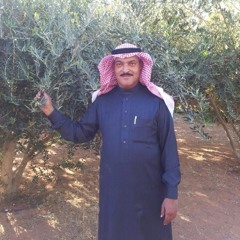 رسمت صورة في خيالي جميلة