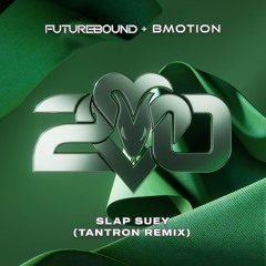 Futurebound & BMotion - Slap Suey (TANTRON Remix)[ [VPR342]