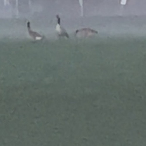 Cold on the solar front