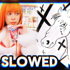 Ice Spice x A bird's last look - Jersey Remix [ Slowed ]
