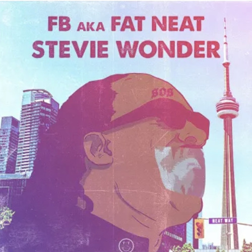 FB - Stevie Wonder