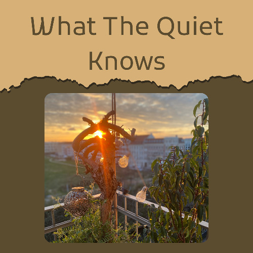 What The Quiet Knows