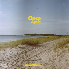 David Blazer - Once Again