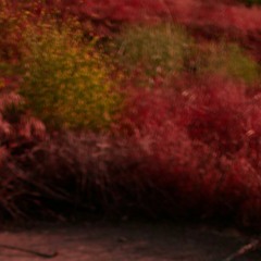 Pyrex Whippa - Blood On The Hills (Remix by Dimmlak)