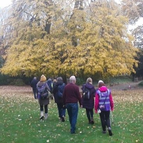 Walk into Autumn in York's City Gardens