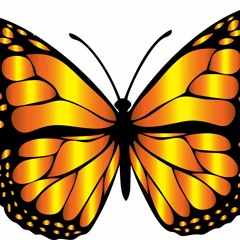 Butterfly (with Liz Stuart)