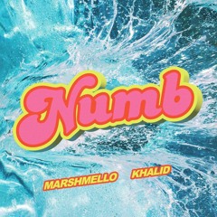 Marshmello & Khalid – Numb (MATTIS Remix)