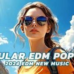 Fly in the Sky - edm synth pop mix