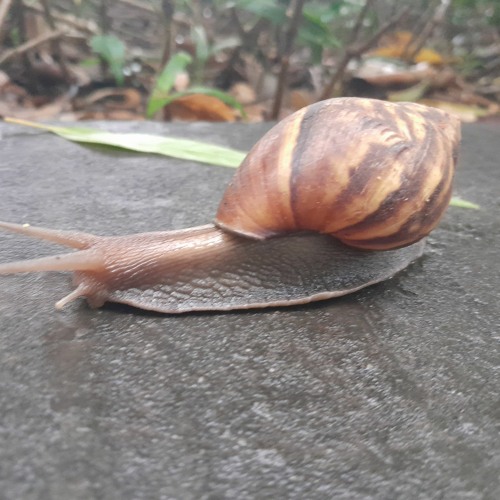 on the edge of killing myself