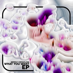 What You Want EP Mersiv x Smoakland