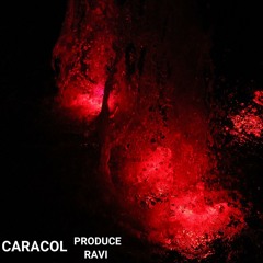 Caracol