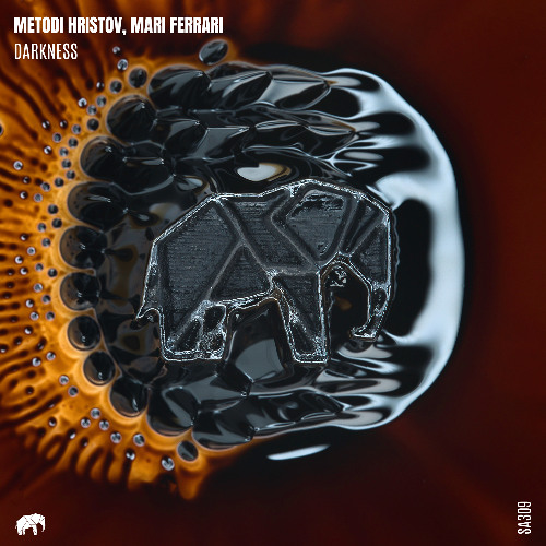 Metodi Hristov, Mari Ferrari - Darkness (Original Mix) [SET ABOUT MUSIC]