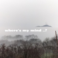 Where's my mind ...?