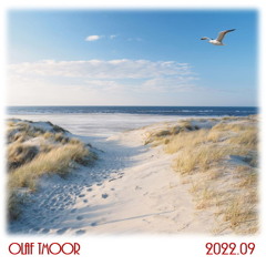 Olaf TMoor - 2022.09