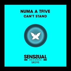 cant stand (Tom Silver Remix)