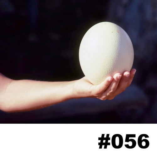 LAF Podcast #056 | SALLAD EGG
