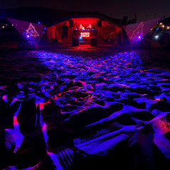 DESERTDREAM CLOSING 2025 - CAMELS