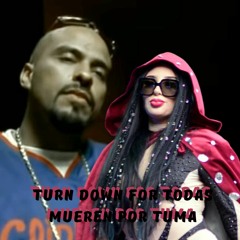 Turn Down For Todas Mueren Por Tuma   BUY == Free Download