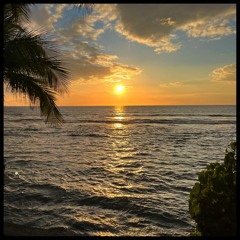 Hawaii Field Recordings 2022