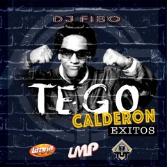 DJ FIBO - Tego Calderon Exitos Mix - 2020 - LMP