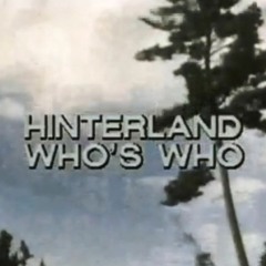[Nostalgic Hip-hop Beat] Hinterland Who's Who (Prod. Weed Richards)