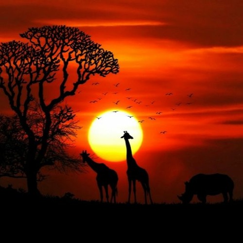 BluSky - Safari (original Mix) DOWNLOAD