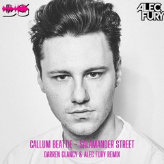 Callum Beattie - Salamander Street(Darren Glancy & Alec Fury Remix)samples
