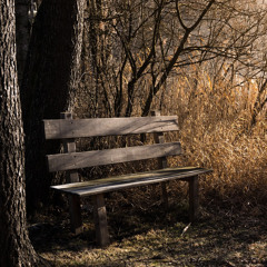 A Time of Rest (feat. Fr. Harris)