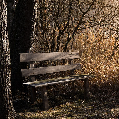 A Time of Rest (feat. Fr. Harris)