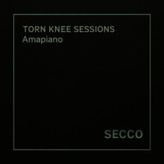 Torn Knee Sessions - Amapiano