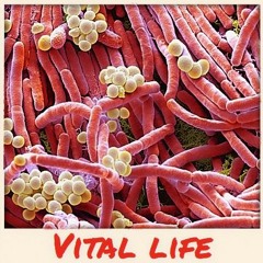 Vital Life