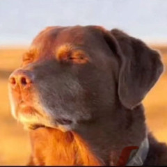 Unedited Unemployment Mix