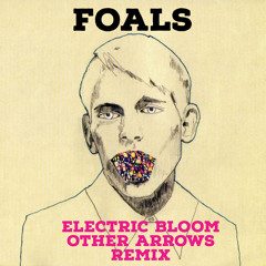 Foals- Electric Bloom (Other Arrows Remix)