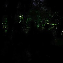 §GreenLineTribal B3B§ • Altact x SIRIUS x KEPLER-6