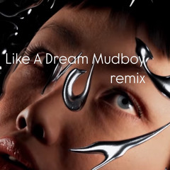 Adriatique, Rivo - Like A Dream (Mudboy Remix)