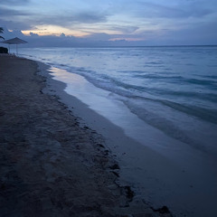 Luii_G X Dymension- Low Low