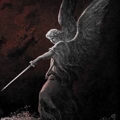 FLY