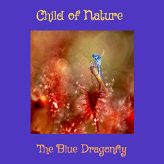 The Blue Dragonfly (Mix 2025) & Video Link